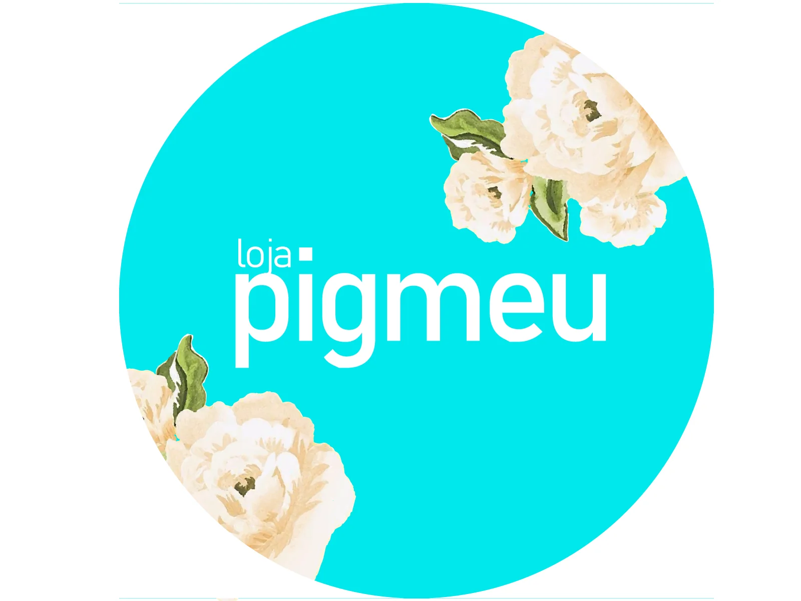 Identidade visual de Loja Pigmeu